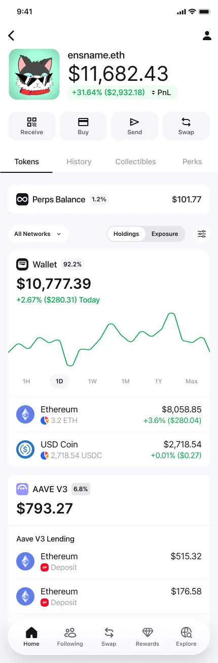 Zerion Wallet holdings grouped by protocol, with an Aave V3 lending position and its value