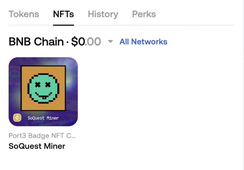 The NFTs tab in Zerion Wallet showing a BNB Chain collectible with its name and value