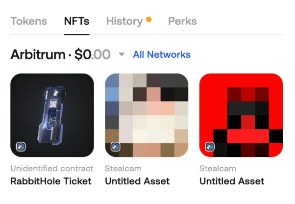 The NFTs tab in Zerion Wallet showing a grid of collectibles with their names and values