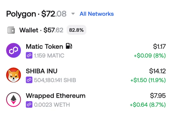 Zerion Wallet token list filtered to Polygon, showing POL and other balances with 24-hour changes